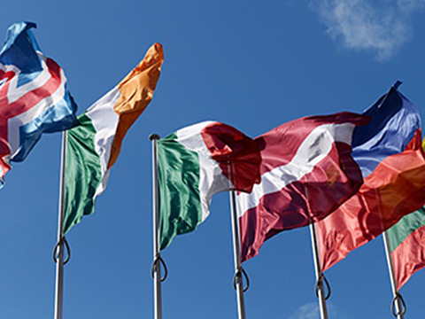 Read more about foreign law.