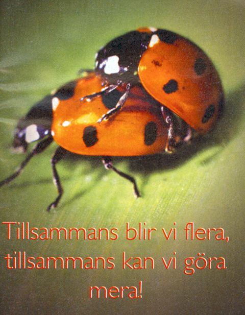 Eläinteemainen vaalimainos.